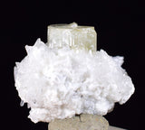 1.9cms APATITE QUARTZ PYRITE CRYSTALS CHALCOPYRITE MINIATURE PERU HUANZALA AB110