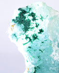 6cms ATACAMITE DRUZY CHRYSOCOLLA  STALACTITE LILY MINE PERU MINERAL AB43