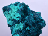 5cm GEM BLUE MALACHITE CHRYSOCOLLA PERU ROSETTE BOTRYOIDAL CRYSTAL GRAPE  UB186