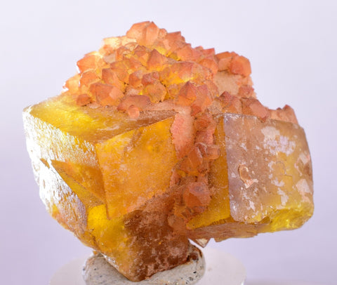 3.8cms GEM YELLOW FLUORITE SHINY CRYSTAL AHOULI MOROCCO MINERAL SPECIMEN KB49