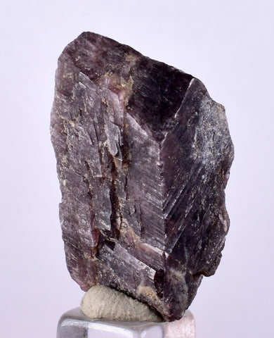 3cm GEM AXINITE CRYSTAL  PERU SUPER SHINY MINERAL SPECIMEN AB103