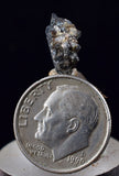 1.2cms NATIVE SILVER WIRE PERU UCHUCCHACUA MINE MINERAL SPECIMEN HB260