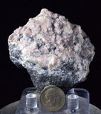 7.5cms PROUSTITE RED RUBY SILVER MINERAL PERU UCHUCCHACUA MINE SPECIMEN H313