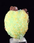 2.5cm PHOSPHOPHYLLITE APPLE BOTRYOIDAL CRYSTAL HOLY GRAIL OF MINERALS BOLIVIA