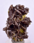 3.5cms PREMIUM AXINITE  QUARTZ CRYSTALS PERU AESTHETIC COLLECTOR AB196