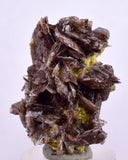 3.5cms PREMIUM AXINITE  QUARTZ CRYSTALS PERU AESTHETIC COLLECTOR AB196