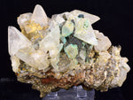8.5cms CALCITE TOOTH DOG WITH QUARTZ CRYSTALS PERU SHINY MINERAL SPECIMEN GB45