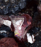 4.6cms GEM RHODOCHROSITE CRYSTALS PERU UCHUCCHACUA MINE MINERAL SPECIMEN RB350
