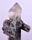 5.8cms GEM QUARTZ SCEPTER NATURAL CHLORITE INCLUDED PHANTOM CRYSTAL PERU  QB27