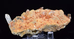 8cms LIMONITE IN SELENITE CRYSTAL COLLECTOR PERU MINERAL SPECIMEN TB104