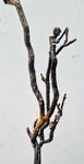 38cms GOLDEN BLACK CORAL PERU NATURAL BRANCH SEA GENUINE VB02