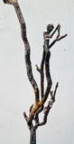 38cms GOLDEN BLACK CORAL PERU NATURAL BRANCH SEA GENUINE VB02