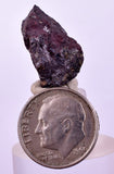 1.9cms PROUSTITE PYRARGIRITE RUBY SILVER PERU UCHUCCHACUA MINE HB274