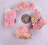 51 grams GEM PINK OPAL PERU ROUGH CORAL COLOR TRANSLUCENT MINERAL PB51
