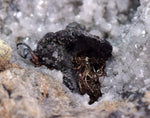 5.3cms NATIVE SILVER WIRE PERU ACANTHITE UCHUCCHACUA MINE MINERAL SPECIMEN HB170