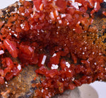 6cm VANADINITE HOLLANDITE CRYSTAL MIBLADEN MOROCCO  MINERAL SPECIMEN WB34