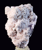 3.7cms PROUSTITE RED RUBY SILVER  MANGANO CALCITE PERU UCHUCCHACUA MINE HB267