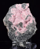 6.7cms RHODOCHROSITE ROSETTE PERU PINK CRYSTALS HUANZALA MINE MINERAL RB469