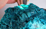13.8cm GEM BLUE MALACHITE ps CHRYSOCOLLA BOTRYOIDAL TENTADORA MINE PERU UB222