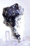 6.1cms CASSITERITE BRILLIANT CRYSTALS FACET GRADE SHINY BOLIVIA MINERAL EB57