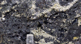 26cms MUSEUM SPHALERITE CHALCOPYRITE PYRITE  QUARTZ CRYSTALS PERU MB119