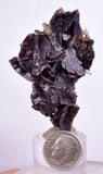 5.8cms PREMIUM AXINITE QUARTZ CRYSTALS PERU AESTHETIC COLLECTOR AB212