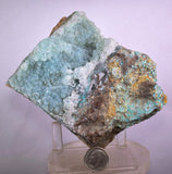 10cms DRUZY CHRYSOCOLLA QUARTZ LILY MINE PERU COPPER 2000 DISCOVERY DB81
