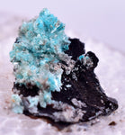 1.6cm AURICHALCITE CRYSTALS DURANGO MEXICO MINERAL SPECIMEN WB29