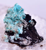 1.6cm AURICHALCITE CRYSTALS DURANGO MEXICO MINERAL SPECIMEN WB29