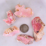 52 grams GEM PINK OPAL PERU ROUGH CORAL COLOR TRANSLUCENT MINERAL PB57
