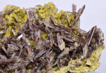 5.7cms PREMIUM AXINITE QUARTZ CRYSTALS PERU AESTHETIC COLLECTOR AB190