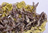5.7cms PREMIUM AXINITE QUARTZ CRYSTALS PERU AESTHETIC COLLECTOR AB190