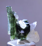 1.9cms TOURMALINE CLEAVELANDITE ALBITE ELBAITE BRASIL MINAS GERAIS MINERAL WB01