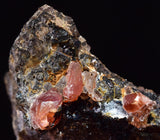 2.5cm RHODOCHROSITE CRYSTALS PERU OLD STOCK UCHUCCHACUA MINERAL SPECIMEN RB489