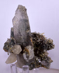 7.9cms GEM QUARTZ NATURAL CHLORITE INCLUDED PHANTOM CRYSTAL PERU  QB78