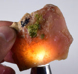 31.5grams GEM PINK OPAL PERU ROUGH CORAL COLOR TRANSLUCENT MINERAL PB11