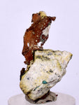 3.2cms NATIVE COPPER ON MATRIX PERU CRYSTAL NEW FIND SOME MINERAL SPECIMEN IB64