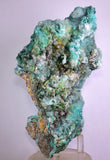 20cm GEM CHRYSOCOLLA IN SELENITE LILY MINE PERU MALACHITE STALACTITES CB359