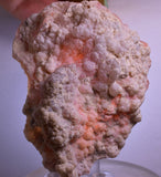 9.4cms GEM PINK OPAL HYALITE PALYGORSKITE QUARTZ SCULPTURE BOTRYOIDAL PERU PB45