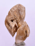 3.6 cms DESERT ROSE SELENITE CRYSTAL PERU GOLDEN SUISEKI TRANSLUCENT TB38