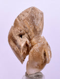 3.6 cms DESERT ROSE SELENITE CRYSTAL PERU GOLDEN SUISEKI TRANSLUCENT TB38