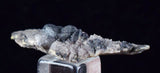 3.9cms ACANTHITE QUARTZ CRYSTALS MINERAL SPECIMEN PERU COLLECTOR HB3