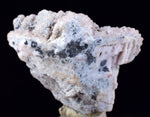 3.8cms PROUSTITE RED RUBY SILVER  MANGANO CALCITE PERU UCHUCCHACUA MINE HB268
