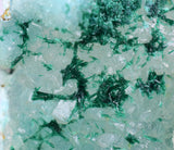 6cms ATACAMITE DRUZY CHRYSOCOLLA  STALACTITE LILY MINE PERU MINERAL AB43