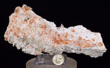 16.5cms LIMONITE IN SELENITE CRYSTAL COLLECTOR PERU MINERAL SPECIMEN TB128