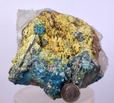 11cms CHRYSOCOLLA QUARTZ  BOTRYOIDAL TENTADORA MINE PERU MINERAL SPECIMEN CB188