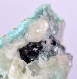 4.7cms GEM CLINOATACAMITE CRYSTAL MALACHITE LILY MINE 2000 DISCOVERY PERU AB160