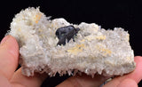 10.5cms HUBNERITE QUARTZ CRYSTALS MINERAL SPECIMEN COLLECTOR PERU MB113