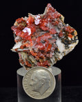 3.6cm VANADINITE CRYSTAL BARITE MIBLADEN MOROCCO MINIATURE MINERAL SPECIMEN WB21