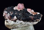 1.8cms GEM RHODOCHROSITE CRYSTALS PERU UCHUCHACCUA MINE MINERAL SPECIMEN RB480